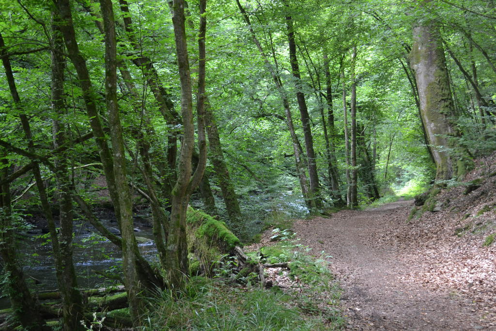 Gite La Clef Des Champs Libin Quarto foto